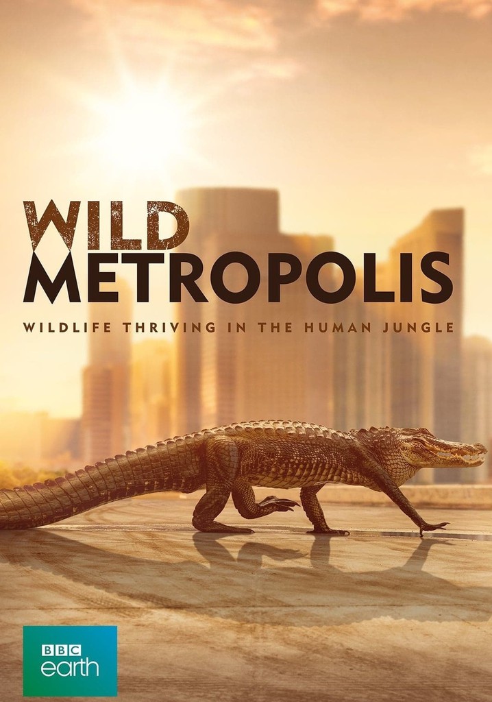 Wild Metropolis poster