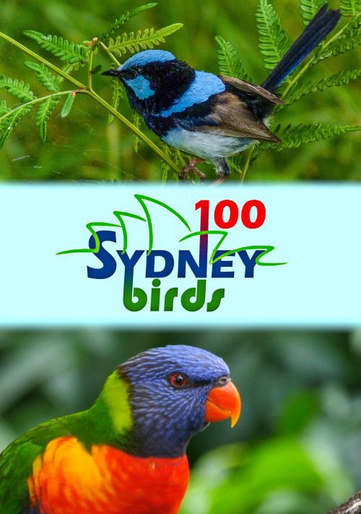 100 Sydney Birds poster
