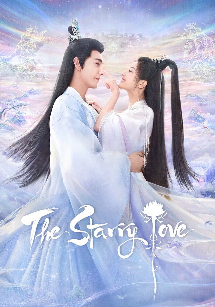 The Starry Love poster