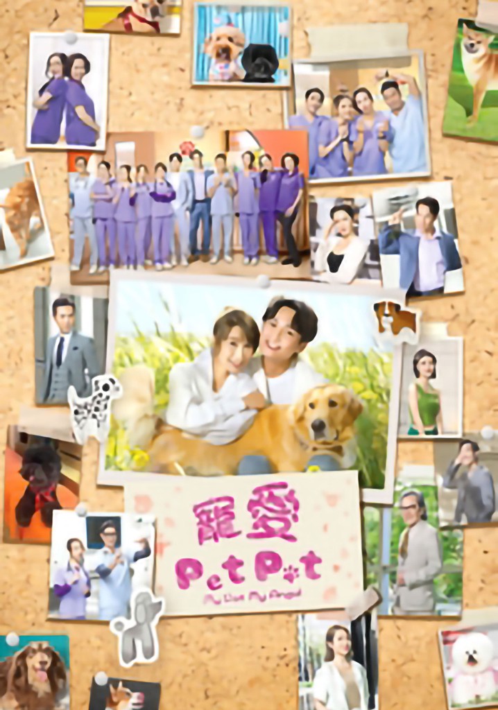 My Pet My Angel poster