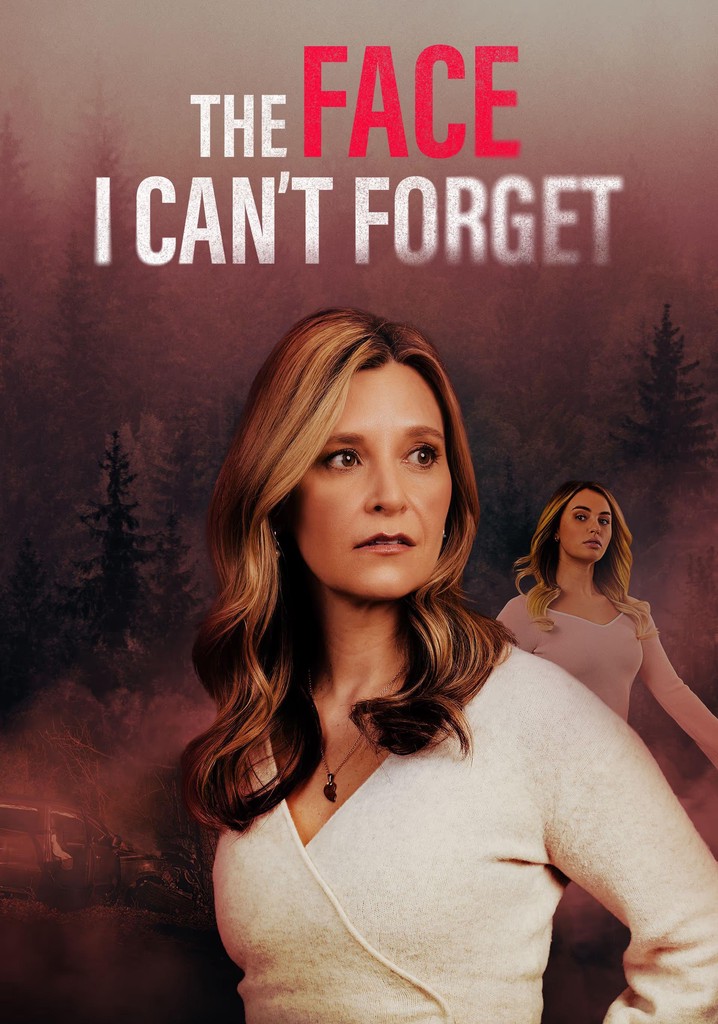 The Face I Can't Forget poster