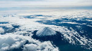 伯方の砂糖