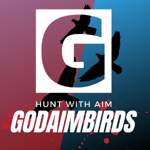 godaimbirds