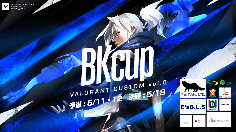 BK杯 Valorant Custom Vol.5_Image