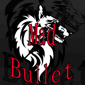 Mad Bullet