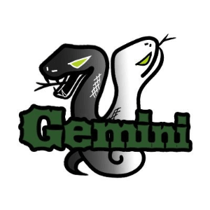 GEMINI eSports