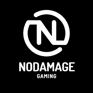 NoDamageGaming