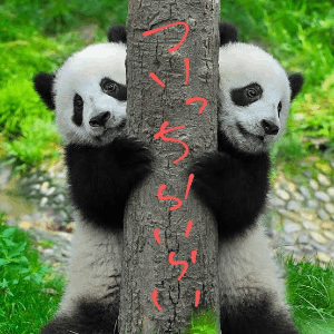 萌え萌え動物園