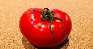 バカデカミニトマト