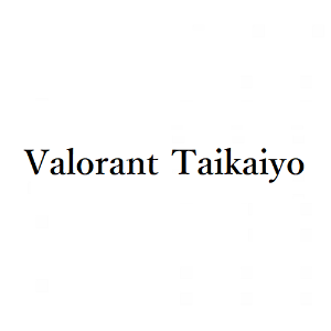 valorant大会用