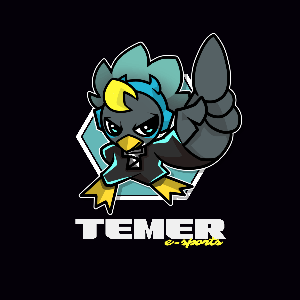 TEMER e-sports