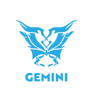 RS Gemini