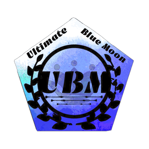 Team_ubm