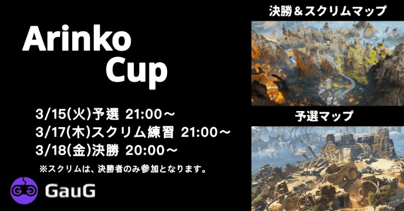 Arinko Cup #6_Image