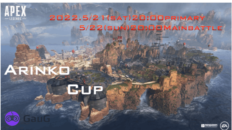 Arinko Cup#8_Image