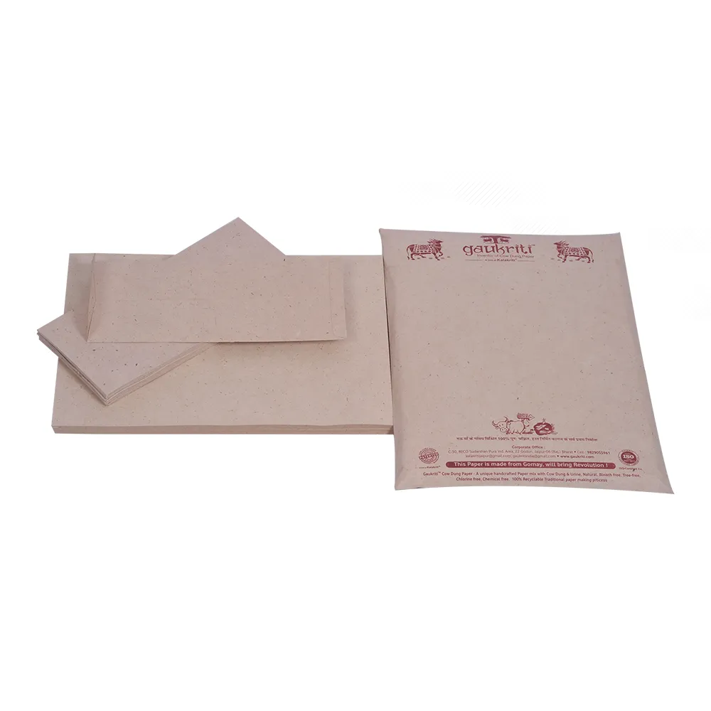 Letter head & Envelope