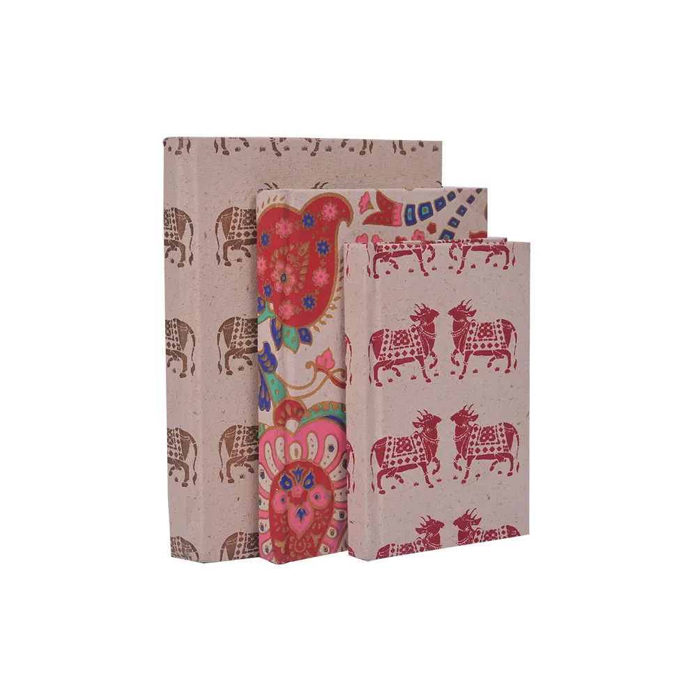 Set of Diary 3pcs Hard Binding