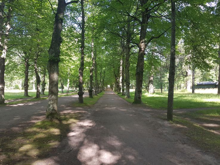 Pierres film - så fint har du aldrig sett Gävle förut!