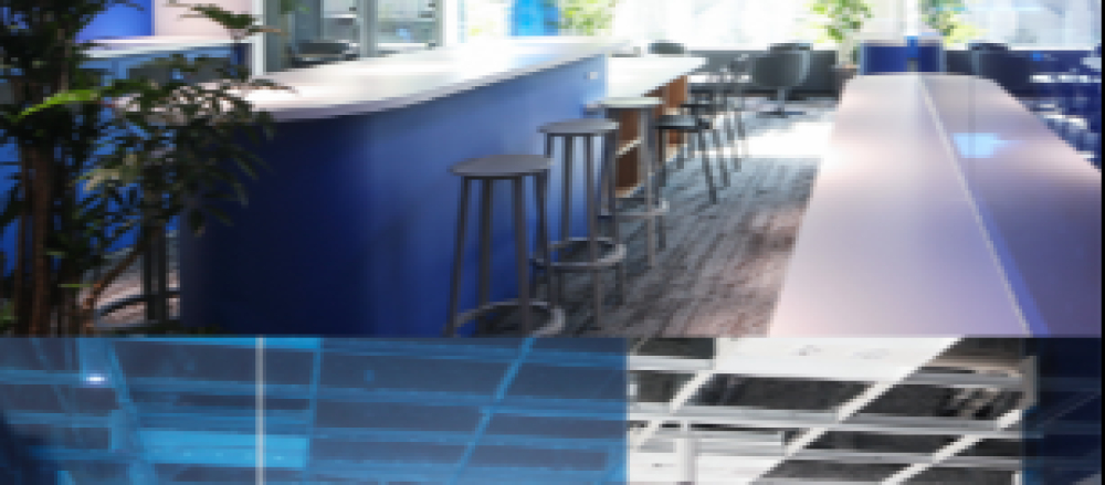 インターンシップ画像