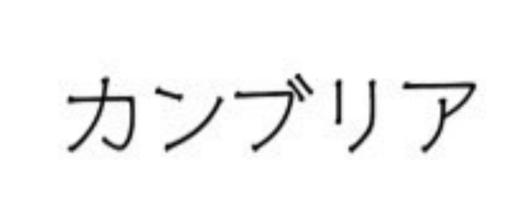 インターンシップ画像