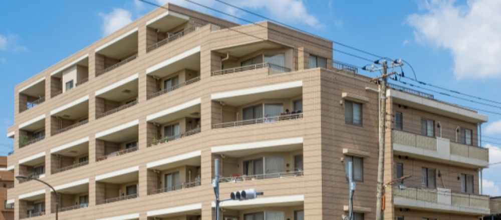 インターンシップ画像