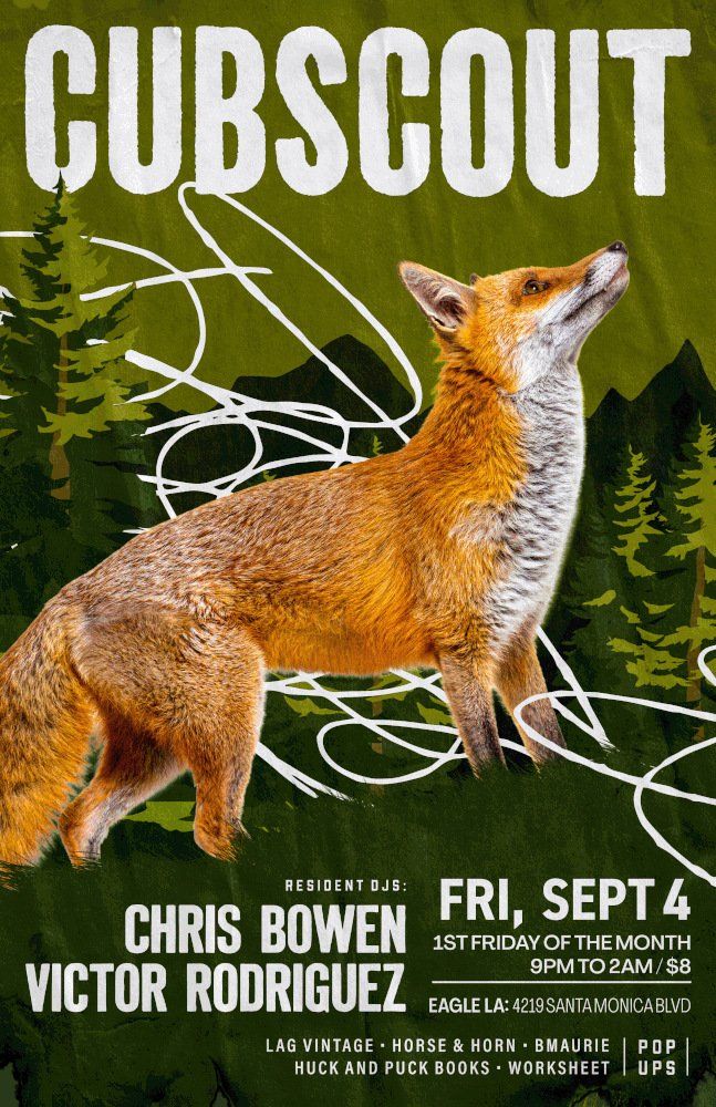 CUBSCOUT flyer