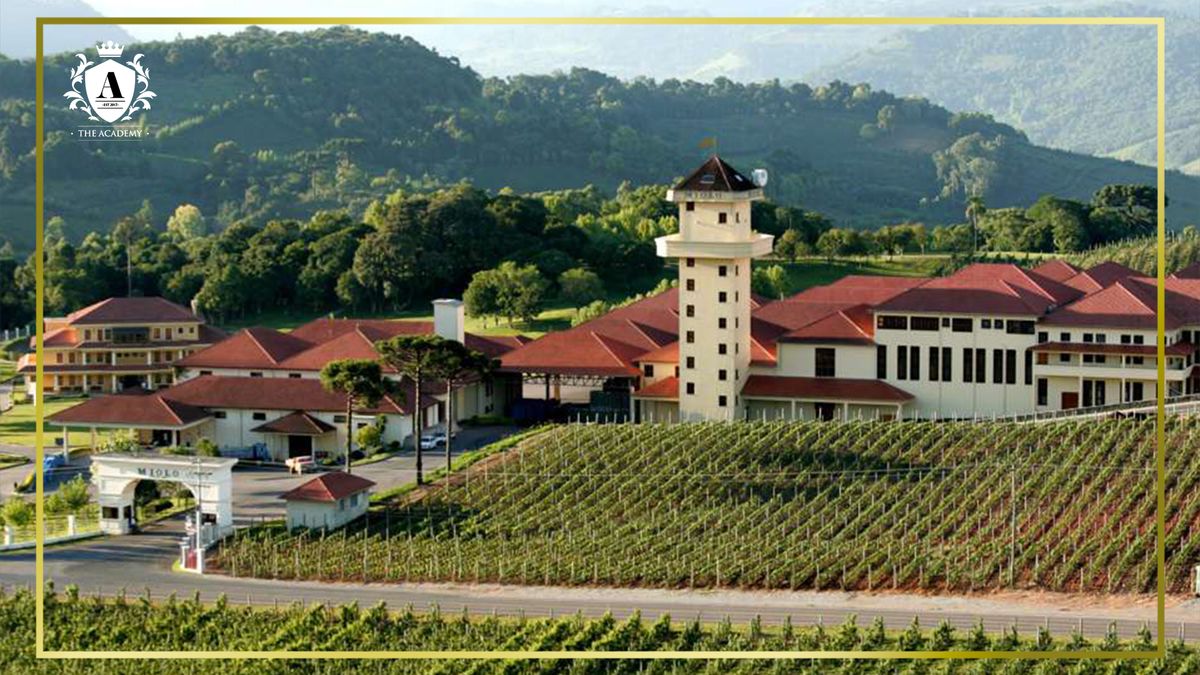 Academy of Wine: South America flyer