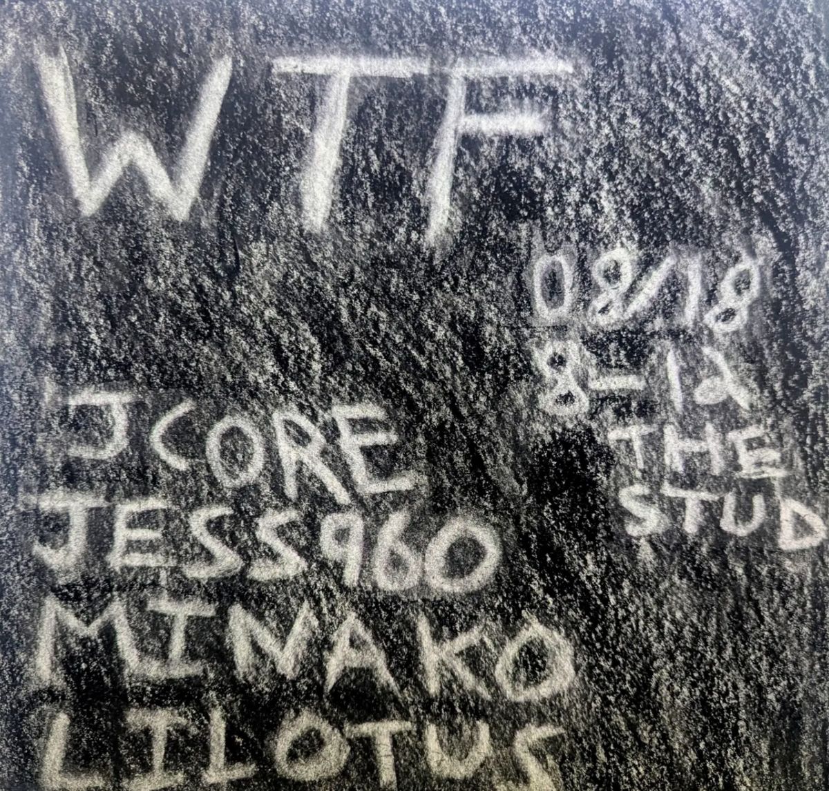 WTF flyer