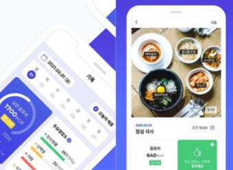 1일 단백질 섭취량 계산법