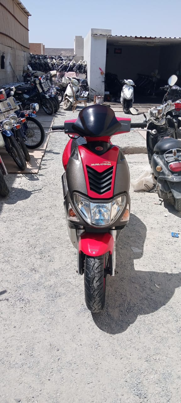 kingco fresh import Japan engine 60cc very good condition like New top speed 80km clood engine price 1500 whout delivery same day delivery service available 