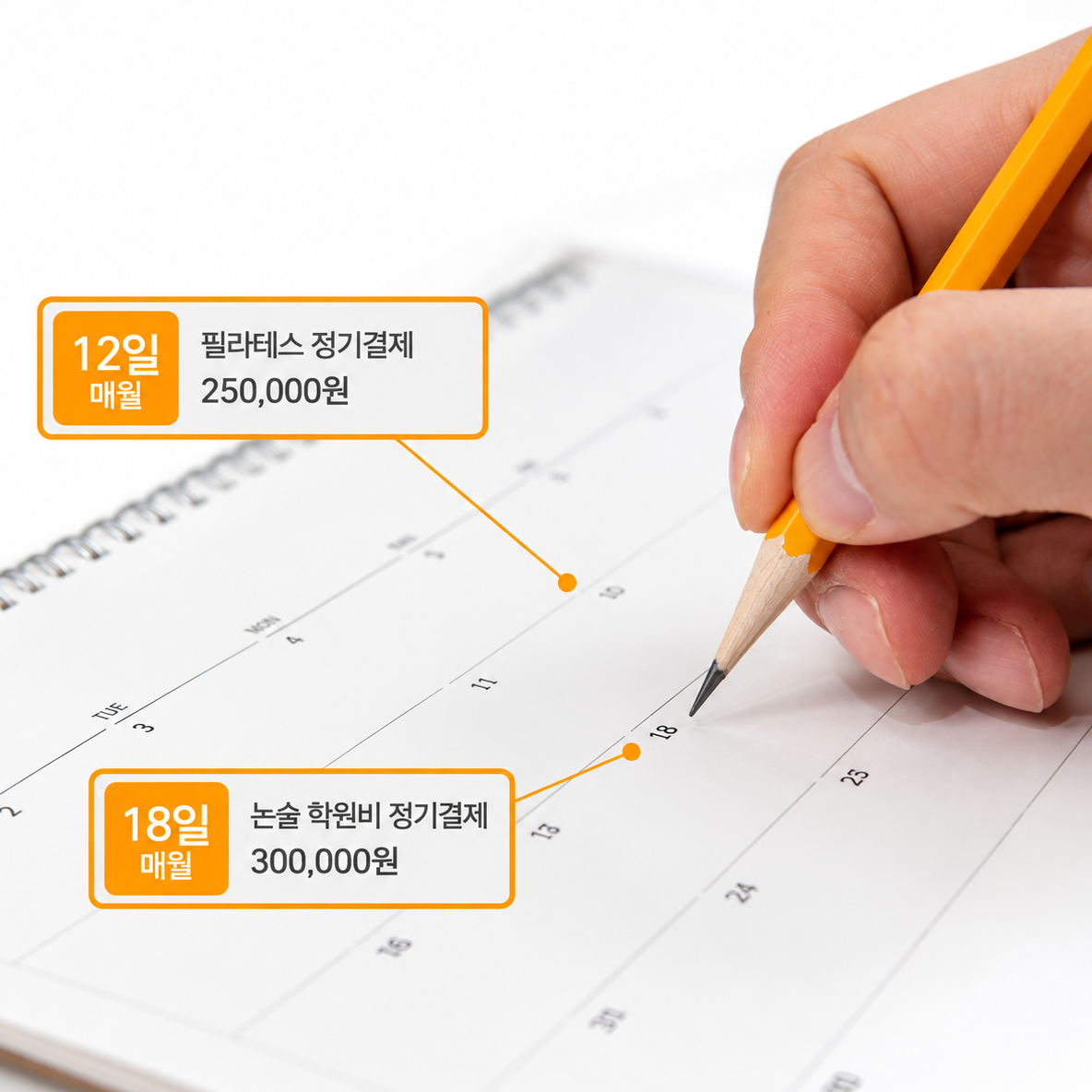 정기결제