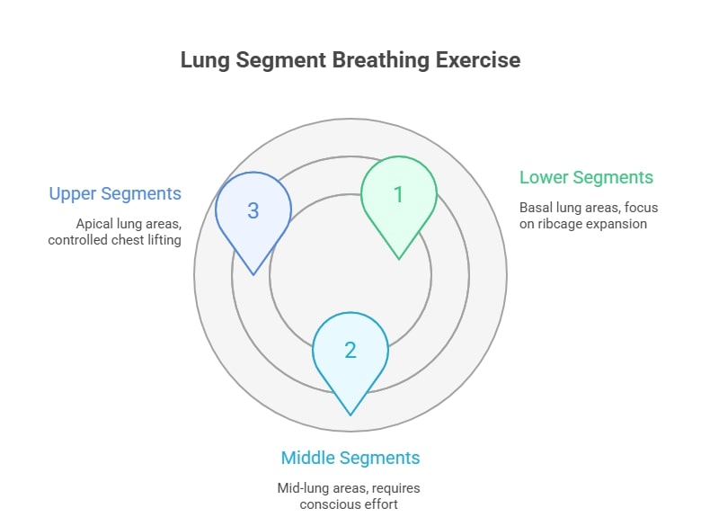 Three lung segments for breathing exercise: lower, middle, and upper areas with focused breathing