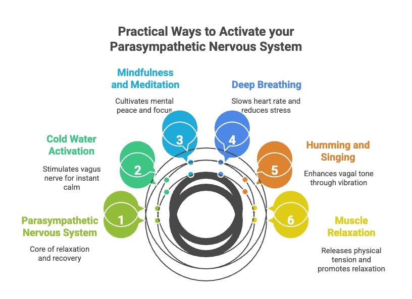 Infographic about common causes and reasons of weak nervous system