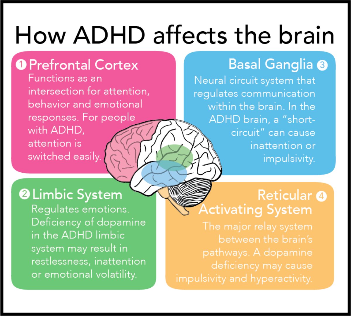 Unlocking ADHD