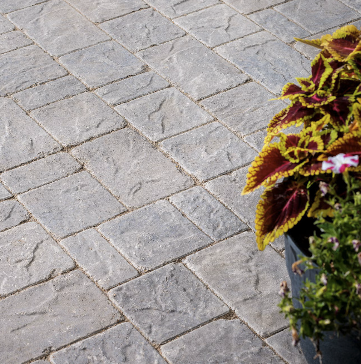 Origins Antiqued Paver