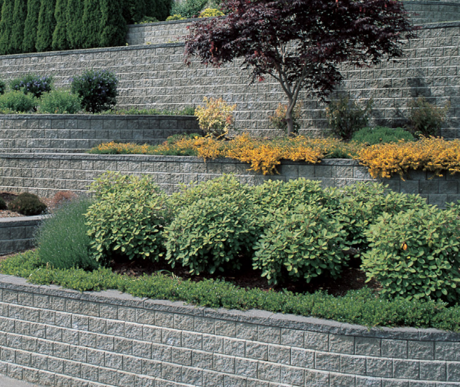 Pisa2 Retaining Wall