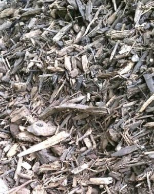 Natural Mulch