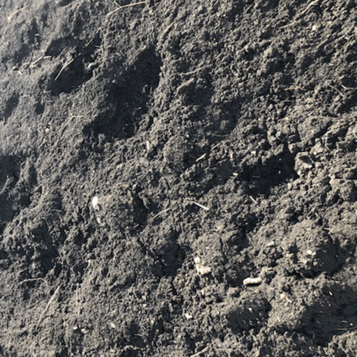 Raw Soil