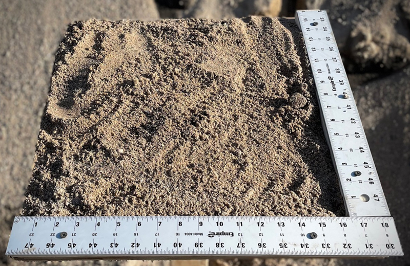 Sand