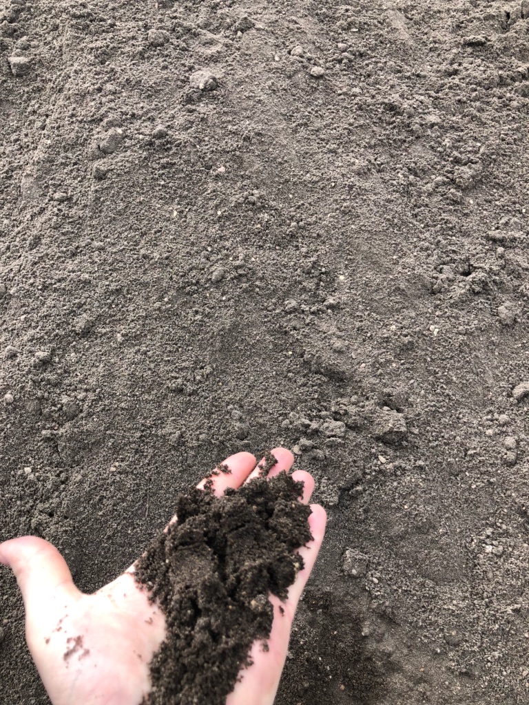 Screened Sandy Loam