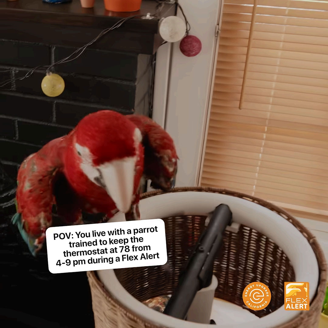 Southern California Edison - Flex Alert — detail 1