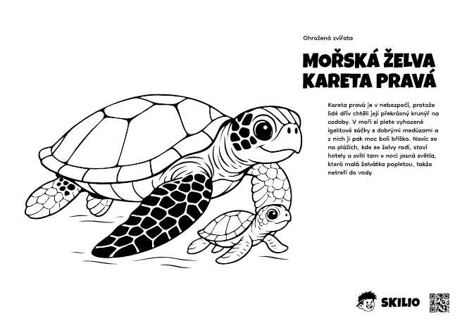 SMART: Mořská želva - Ohrožená zvířata – Už chápu, co se děje - SMART, Import pro děti SMART - už chápu, co se děje (6–8 let) - omalovánka ke stažení zdarma