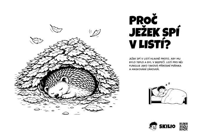 SMART: Ježek - Skilio – Už chápu, co se děje - SMART, Import pro děti SMART - už chápu, co se děje (6–8 let) - omalovánka ke stažení zdarma