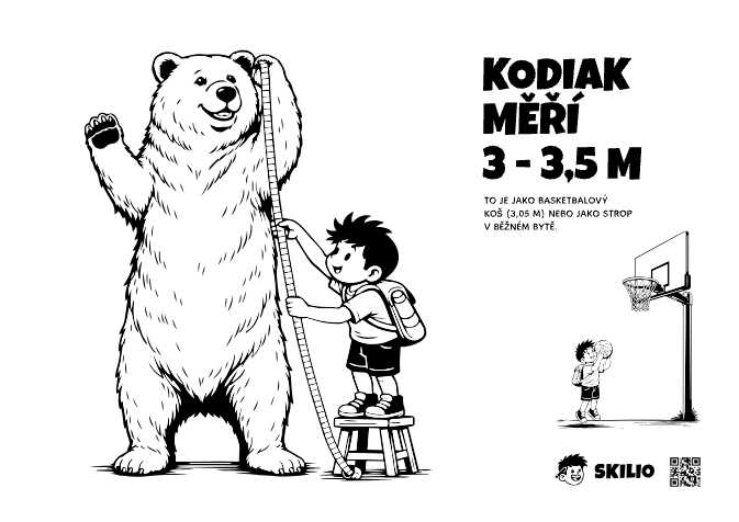 SMART: Medvěd - Kodiak - Skilio – Už chápu, co se děje - SMART, Import pro děti SMART - už chápu, co se děje (6–8 let) - omalovánka ke stažení zdarma