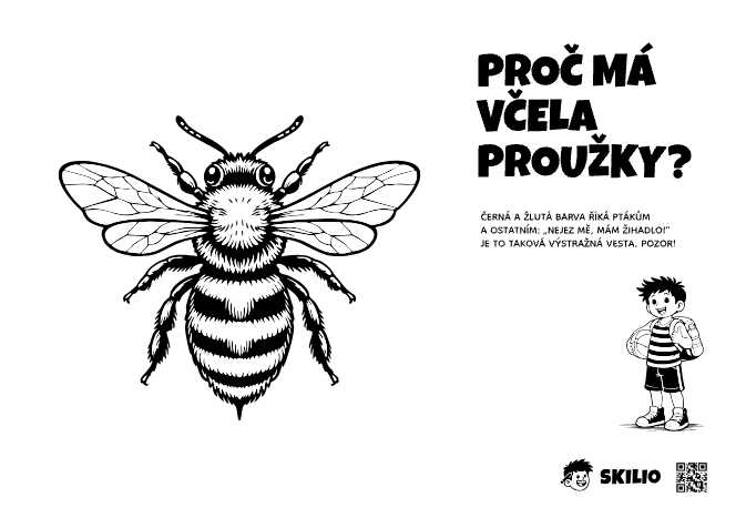 SMART: Včela - Skilio – Už chápu, co se děje - SMART, Import pro děti SMART - už chápu, co se děje (6–8 let) - omalovánka ke stažení zdarma