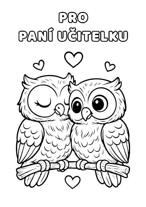 Sova – pro paní učitelku – omalovánka – s věnováním - START, Věnování, Sova pro děti START - už vím, kam kreslím (4–6 let) - omalovánka ke stažení zdarma