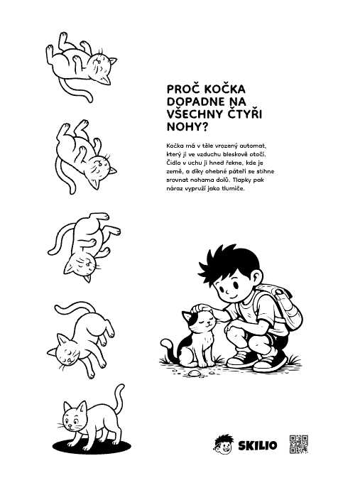 Kočka - Skilio - Příroda, Zvířata pro děti SMART - už chápu, co se děje (6–8 let) - omalovánka ke stažení zdarma
