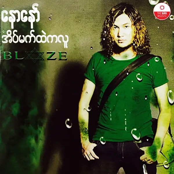 ပျံသန်းခြင်း cover