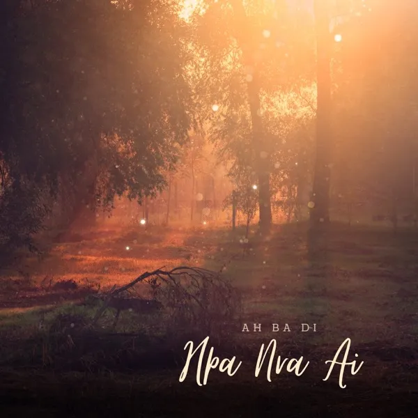 Hpa Nra Ai album cover
