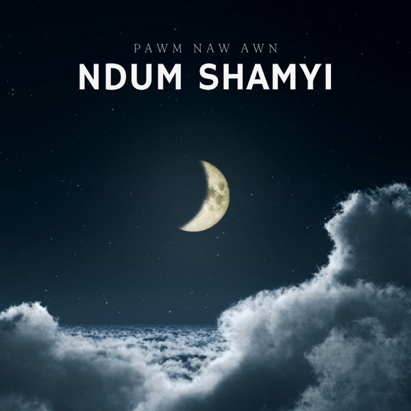Ntsun Sai album cover